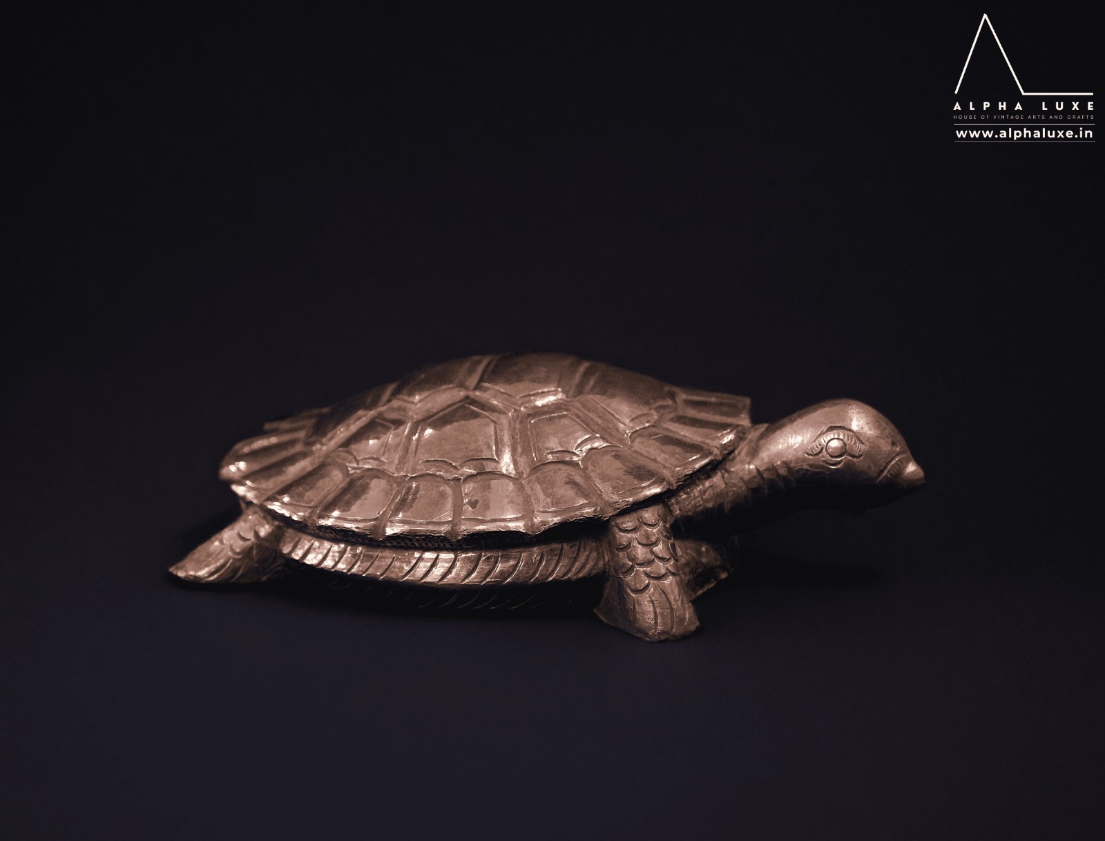 WhatsApp Image 2023-10-21 at 11.50.00 AM (39).jpeg